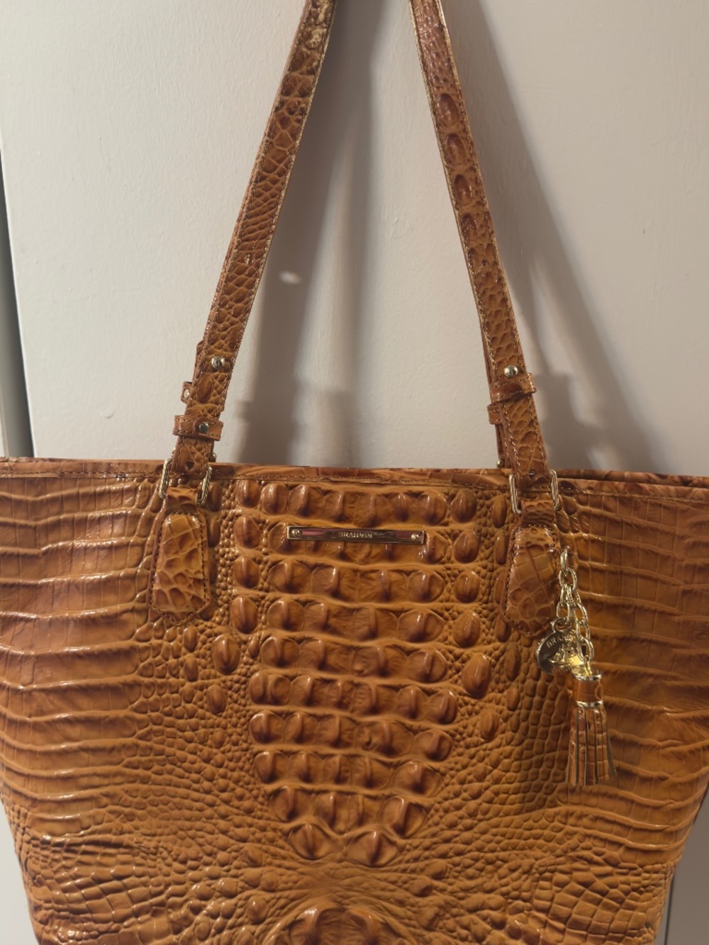 Brahmin Tote Bag